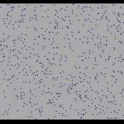 2 Steering Behaviors Separation
