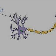 Build Your Own Neural Network With PHP Vítor Brandão PHPSW Time For The Future June 2018