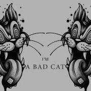 New Brutal Minimal Techno Mix 2025 I M A Bad Cat By Patrick Slayer
