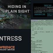 Digital Forensics How Malware Can Hide In Plain Sight