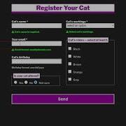 Screen Reader Announcing An Accessible Web Form