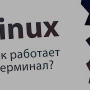 4 Терминал TTY PTY Pipe Console Linux