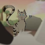 PMV MAP PART OLD I M Not Ready Part 2