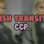 Squish Transition Ccp