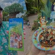 Disney S Animal Kingdom 2026 Park Update Bluey Experience New Avatar Food Walt Disney World