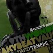 9th Wonder More Than You Can Bare Feel It