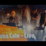 John Cale Live