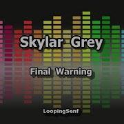 Skylar Grey Final Warning Lyric Video