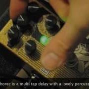Catalinbread Echorec Bass