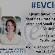 Anna Lischnig And Cecilia Lässer Quantitative Proteomics Of Large And Small EVs