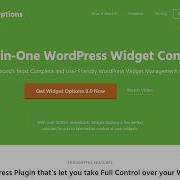 Widget Options For WordPress
