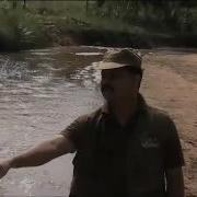 Rescue And Release Of Rock Python