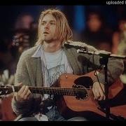 Nirvana Entertain Us