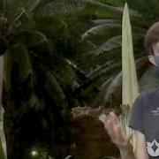 2020 Corpse Flower 1 Peak Bloom Live Q A