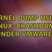 Ubuntu Kernel Dump Using Linux Crashdump Under VMware 2 Solutions