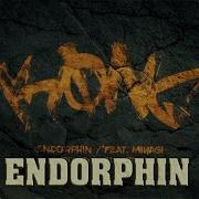 Andy Panda Feat Miyagi Endorphin Текст
