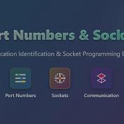 Port Numbers Sockets Explained Networking Basics For Beginners