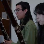 Introduction To The Instruments Of The Orchestra 2022