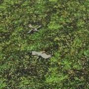 GMOD Fun With Seagulls