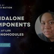 Angular Standalone Components A Glimpse At Life Without NgModules