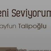 Seni Seviyorum Tayfun Talipoğlu
