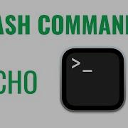 Bash Commands Echo Command