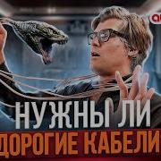 ДОРОГИЕ КАБЕЛИ МЕНЯЮТ ЗВУК Ответ на главный вопрос о проводах для колонок от AudioQuest