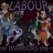 Labour A COMPLETE SHE CATS MAP