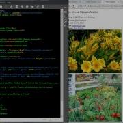 Lesson 2 CSS Syntax Backgrounds And Font Colors