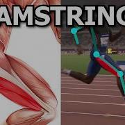 Running Exercises Improving Hamstring Strength