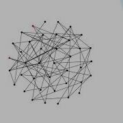 2 4 Types Of Networks Random Graph Network Dynamics Of Social Behavior