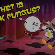 What Is Black Fungus Black Fungus Infection The Dr Binocs Show Peekaboo Kidz