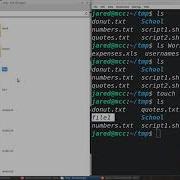 BASH Basics Demo The Ls Touch Mkdir Cp Mv And Cd Commands