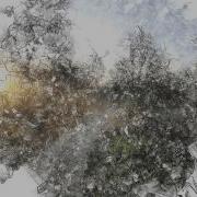 Particle System Photo Drawing