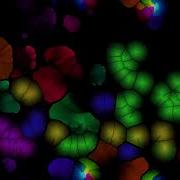 Reaction Diffusion Experiment NewVecDisplace 143 000 Color Tadpoles