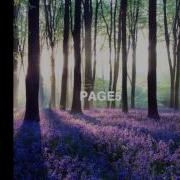 Titanium Parallax Effect With ScrollableView