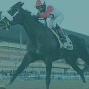 Talking Horses December 18 2021