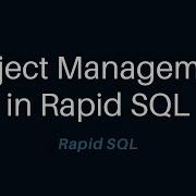 Project Management In Rapid SQL