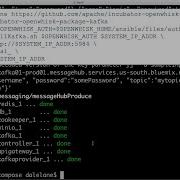 Building Providers For OpenWhisk