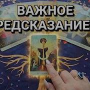 ANCIENT GRANDMOTHER S READING WHAT DOES FATE HAVE IN STORE FOR YOU