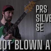 PRS Silver Sky SE Were They OVERHYPED