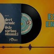 Esin Engin Orkestrası Dert Bende Enstrümental 1973 Plak Kaydı