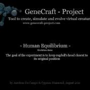 Evolved Virtual Creature Human Equilibrium