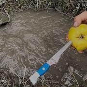 Amazing Water Vortex Experiment Best Whirlpool Hole Vs Quince