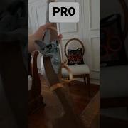 Nerf Musket Evolution Reload Nerfreload Frontlinefoam