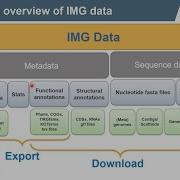 IMG Webinar IMG Data Export And Download