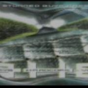 The Stunned Guys Always Hardcore Vol 8 Cd 2 Comp REUPLOAD