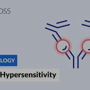 Antibody Dependent Cell Mediated Cytotoxicity Type II Hypersensitivity Reaction