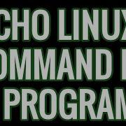 Echo Linux Command In C Program Echo Command Using C