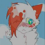 Brightheart X Cloudtail AMV It S A Beautiful Day